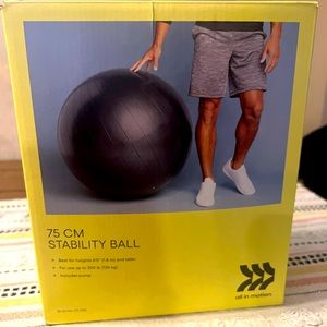 All in motion stability ball